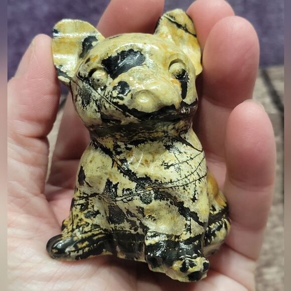 Septarian French Bulldog - Picture 6 of 9